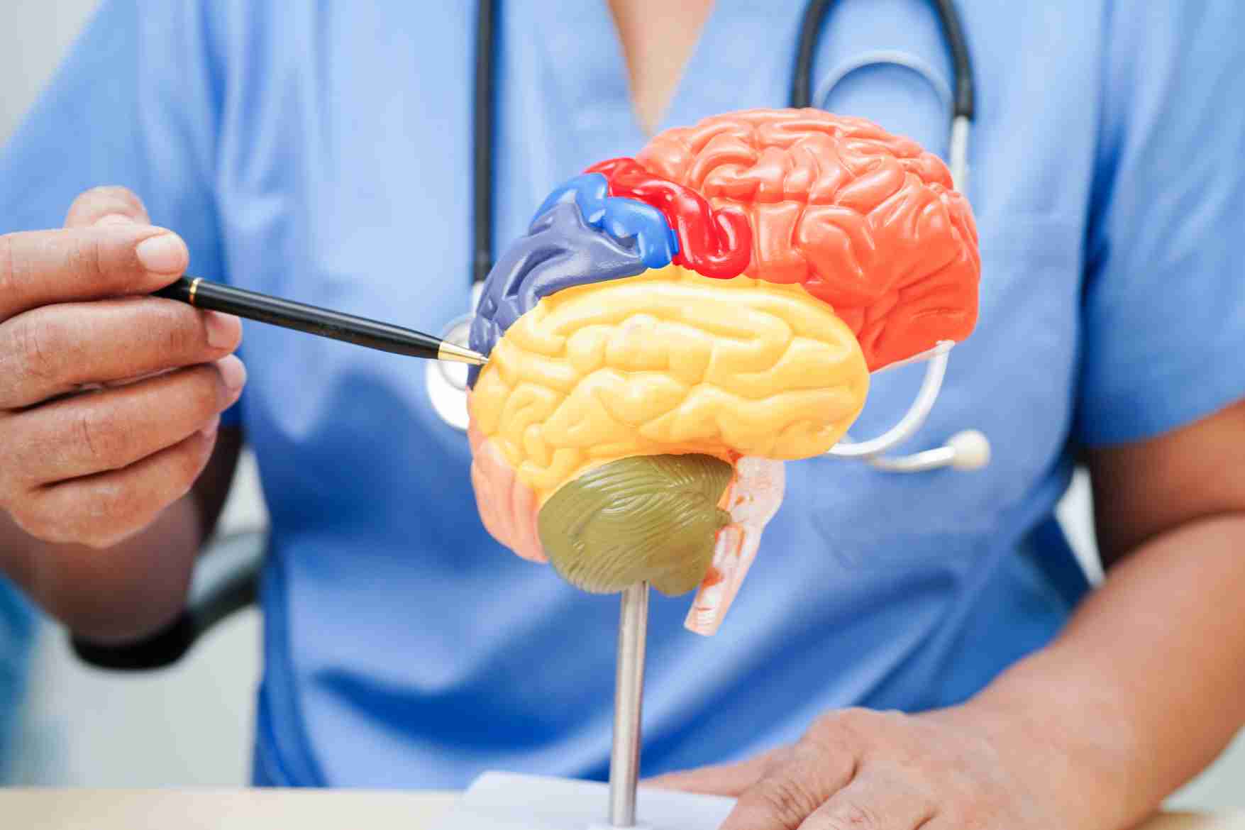 How Can Seniors Improve Brain Health? Effective Ways Seniors Improve Brain Health for a Vibrant Life