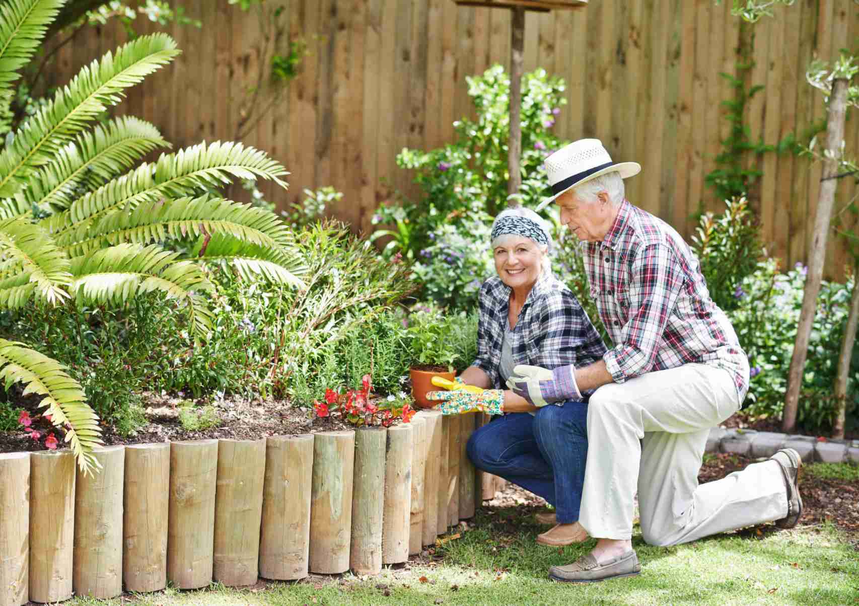 Gardening for Seniors - Low-Maintenance Gardening Ideas for Older Adults